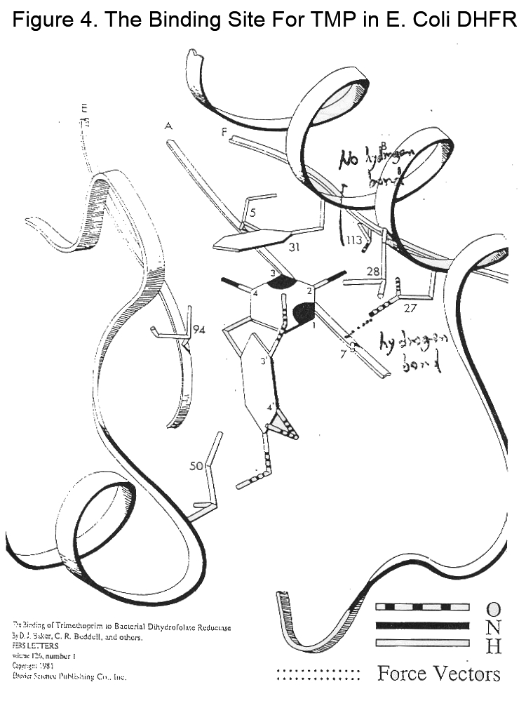 Last Page
